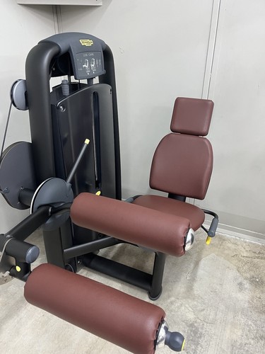 Technogym seated leg curl - technogym,