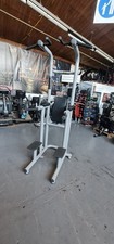Technogym Chin Up/Dip Leg