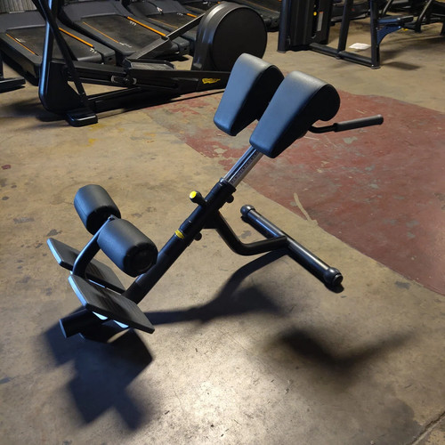 Technogym degree back - 45,