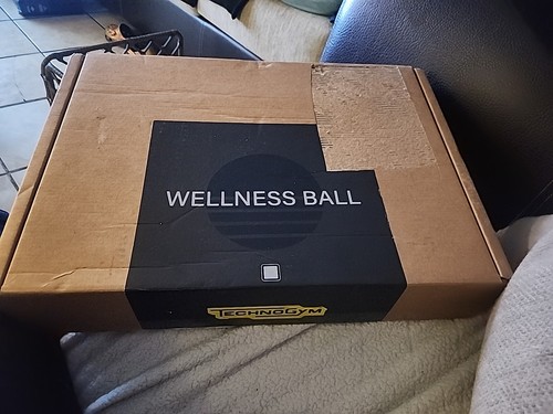 Technogym wellness ball - wellness,