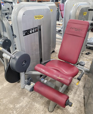 Technogym Leg Extension -