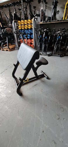 Technogym preacher curl bench - technogym,