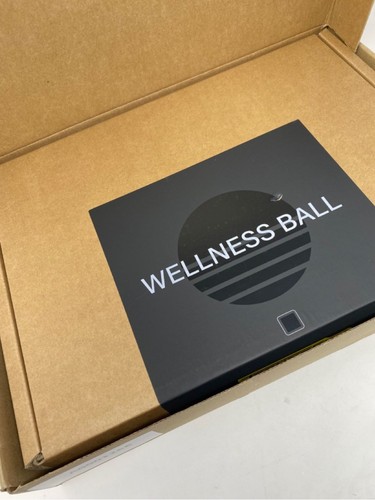 Technogym wellness ball - technogym,